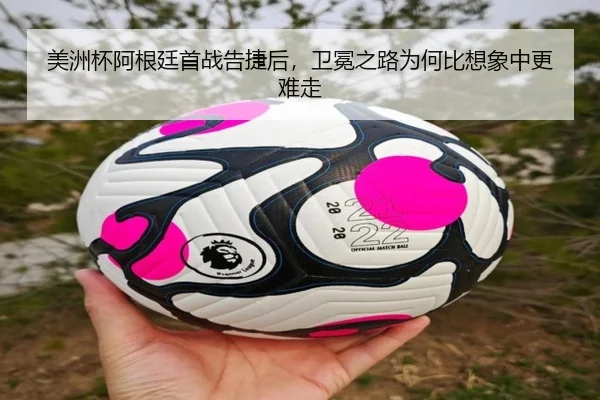 img_1781790595116_9_1_251.jpg